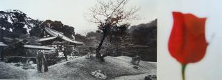 Kodal-ji zen-garden