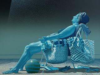 hans web