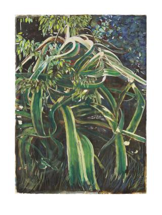 Agave #7