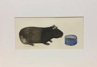 Cavia met voerbakje