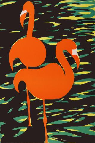 Flamingo