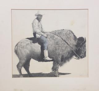 Buffalo rider