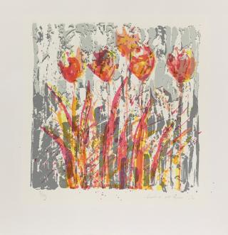 Zonder titel 6