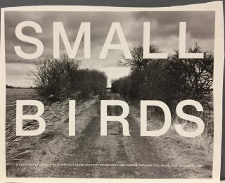 Small birds