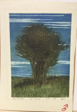 Landschap nr I