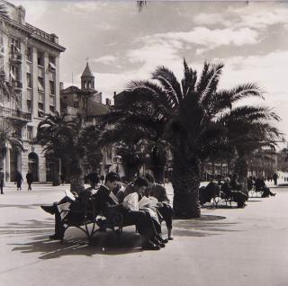 Split, 1956