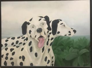 Dalmatiers in het vlakke land